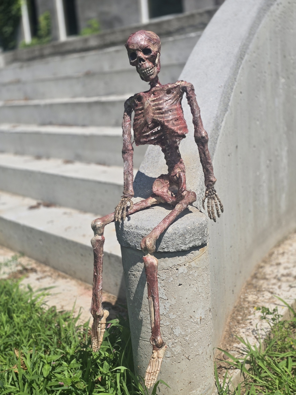 Skeleton Corpse Halloween Prop - Picture 2 of 7